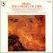 Sibelius - The Origin Of Fire
