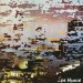 Steve Hillage - Live Herald