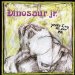 Dinosaur Jr - You're Living All Over Me