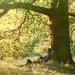 John Lennon & The Plastic Ono Band - Plastic Ono Band