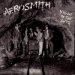 Aerosmith - Night In Ruts