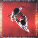 Moraz Patrick & Bill Bruford (patrick Moraz . Bill Bruford - Flags