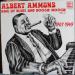 Albert Ammons - King Of Blues And Boogie Woogie Vol. 2