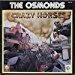 Osmonds - Crazy Horses