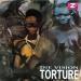 Die Vision - Torture