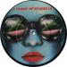 A Flock Of Seagulls - I Ran (picture Disc)