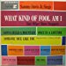 Sammy Davis Jr. - Sings What Kind Of Fool Am I And Other Show-stoppers