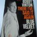 Vinton Bobby - There I've Said It Again