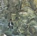 Dave Mason - Alone Together