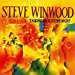 Steve Winwood - Talking Back To Night