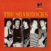 The Shamrocks - The 60's Beat