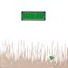 Chris Rea - Shamrock Diaries
