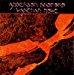 Anderson Bruford Wakeman Howe - Brother Of Mine