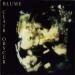 Clair Obscur - Blume