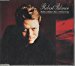 Robert Palmer - Mercy Mercy Me/i Want You