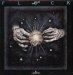 Flock (the) - Inside Out Lp