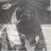 Albert King/otis Rush - Door To Door