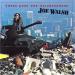 Walsh Joe (joe Walsh) - There Goes Neighborhood
