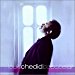Louis Chedid - Bouc Bel Air