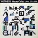 Witness - House Called Love 33rpm