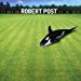 Robert Post - Robert Post