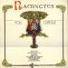 Namnètes - Folk Celtic