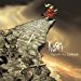 Korn - Korn - Follow The Leader