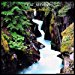 Yusuf/cat Stevens - Back To Earth By Yusuf/cat Stevens