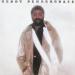 Teddy Pendegrass 1977 - Teddy Pendergrass Collection