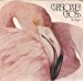 Christopher Cross - All Right