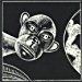 Omar & The Howlers - Monkey Land