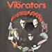 Vibrators - Vicious Circle