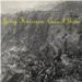 Jerry Harrison - Casual Gods
