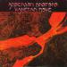 Anderson Bruford Wakeman Howe - Brother Of Mine