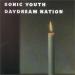 Sonic Youth - Daydream Nation