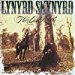 Lynyrd Skynyrd - Last Rebel