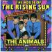 Animals - House Of Rising Sun