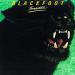 Blackfoot - Tomcattin'
