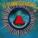 13th Floor Elevators - Rockius Of Levitatum!