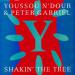 Gabriel (peter) & N'dour (youssou) - Shakin' The Tree - France - Maxi 45t