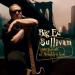 Big Ed Sullivan - 300 Pounds Of Brooklyn Love