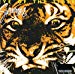 Survivor - Eye Of The Tiger