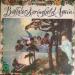 Buffalo Springfield - Again