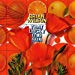 Brian Wilson - That Lucky Old Sun