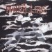 The Phantom Limbs - Displacement