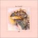 Pete Sinfield - Still
