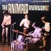 Animals - Animalism