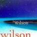 Brian Wilson - Imagination