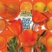 Brian Wilson - That Lucky Old Sun