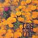 Thugs (les) - I.a.b.f.